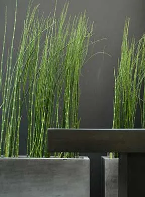 Architecte paysagiste pour projets clés en mains sur Rennes, Saint-Malo, Laval et sur le département d'Ille et Vilaine